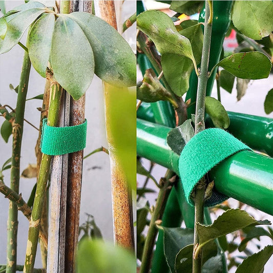 3 rouleaux de ficelle pour plantes de jardin vertes, attaches pour plantes en Nylon, boucle de crochet de jardin, Support en bambou, accessoires de jardin Industris.fr