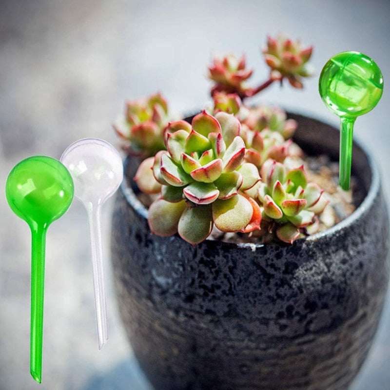 Distributeur automatique d'eau pour plantes, 5 pièces, boule en plastique auto-arrosante, fleurs intérieures et extérieures, canettes d'eau, pot de fleurs, dispositif d'irrigation goutte à goutte Industris.fr