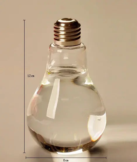 Vase en verre transparent avec ampoule pour décoration industrielle Industris.fr